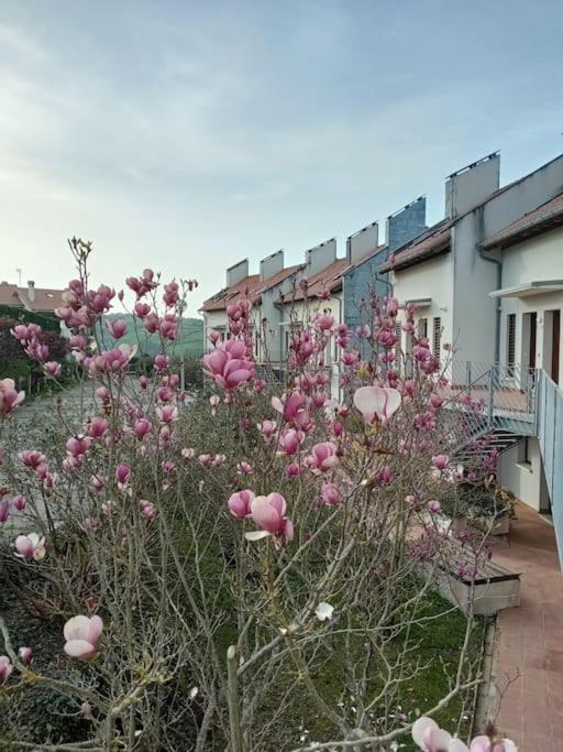 Апартаменти Terraza Y Piscina Con Vistas Espectaculares Al Mar Parking Cubierto Сан-Вісенте-де-ла-Баркера Екстер'єр фото